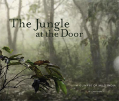 The Jungle at the Door