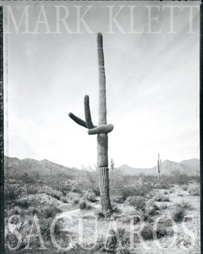 Mark Klett - Saguaros