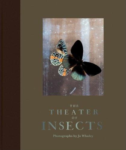 The Theater of Insects