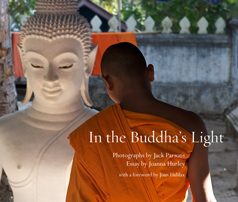 In-the-Buddha's-Light